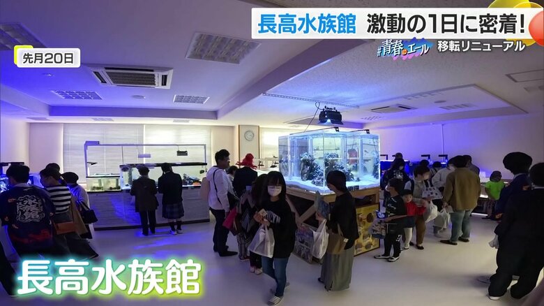 【大盛況】日本で唯一“高校生が運営”する水族館がリニューアル！　怒濤のオープン初日に密着｜FNNプライムオンライン