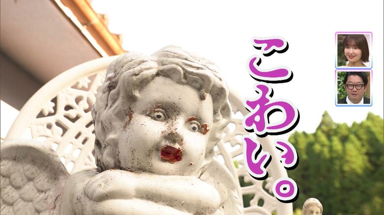新ミステリースポット？のどかな田園風景に突如現れる謎の公園の真相は｜FNNプライムオンライン