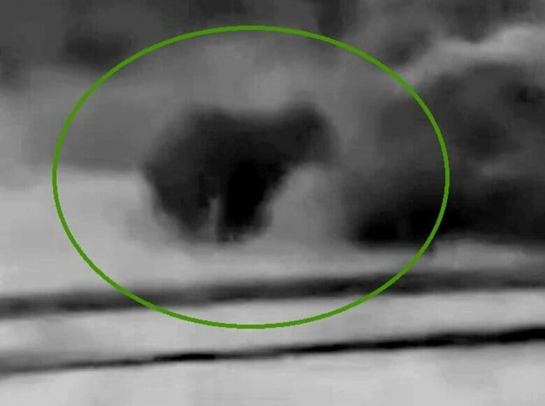 【ヒグマ出没】「痛くて苦しかったと思う。かわいそうでならない」クマに襲われ亡くなった男性の母親が悲痛な声_少なくとも2頭が徘徊か_専門家「いったんクマが市街地に入り込むと普段の常識は通用しない」と警告｜FNNプライムオンライン