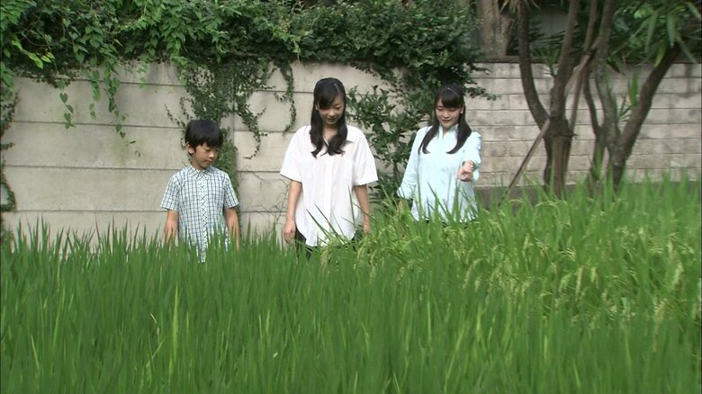 平成28年8月(2016年) 10歳の誕生日映像(赤坂御用地)