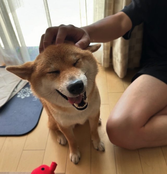 提供：はちさん