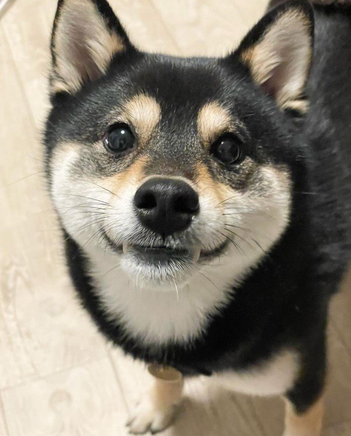 豆福くん（提供：まめふく&ゆめくりさん）