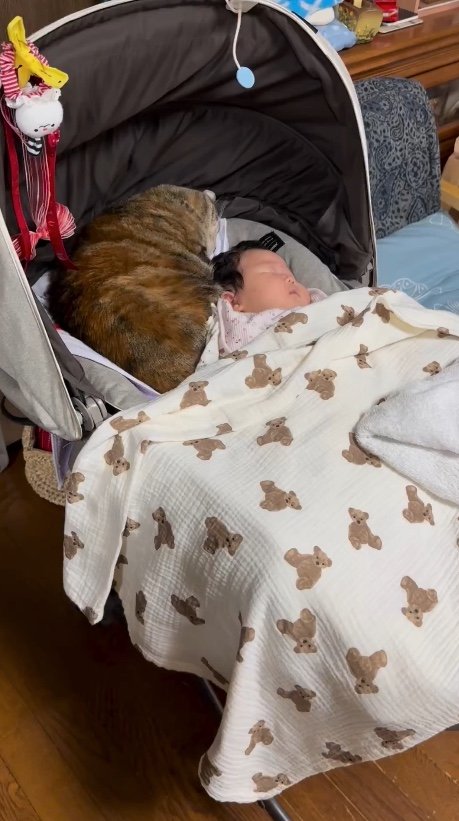 提供：エルモとみみりんさん