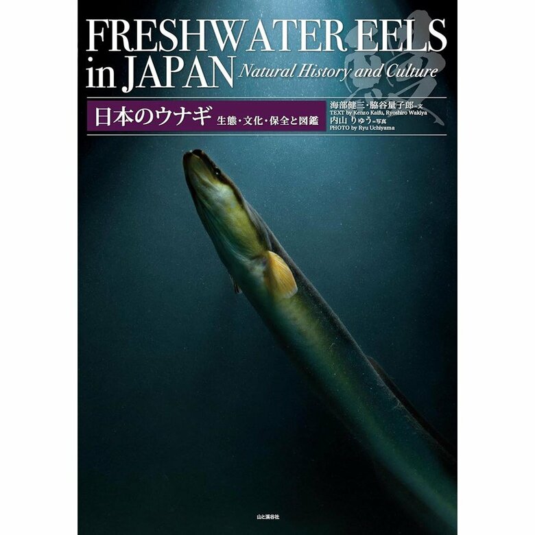 『日本のウナギ 生態・文化・保全と図鑑』（山と渓谷社）