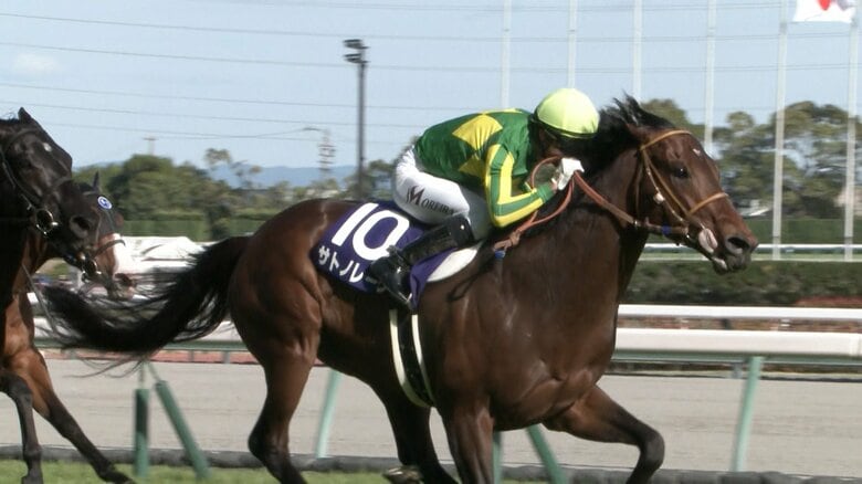 2025年 高松宮記念を制したサトノレーヴ