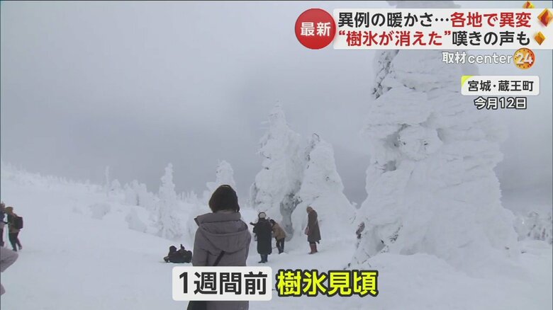 多くの観光客が見頃の樹氷を楽しんでいた