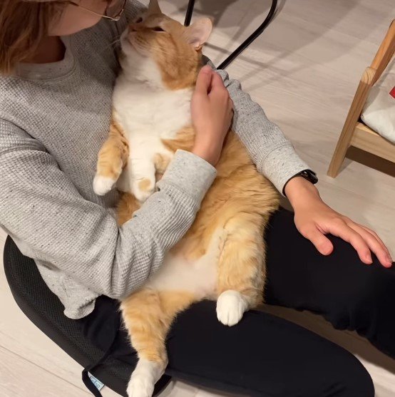 飼い主と相思相愛（提供：＠gupitaroさん）