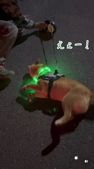 提供：カンさん