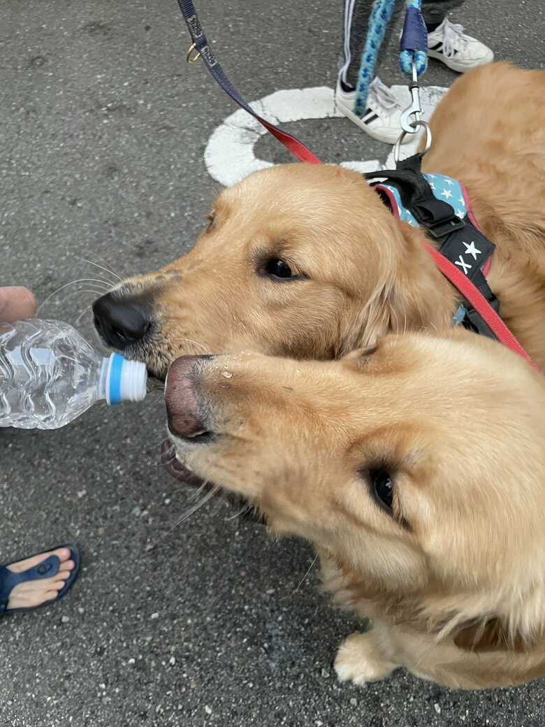 水分を補給したり