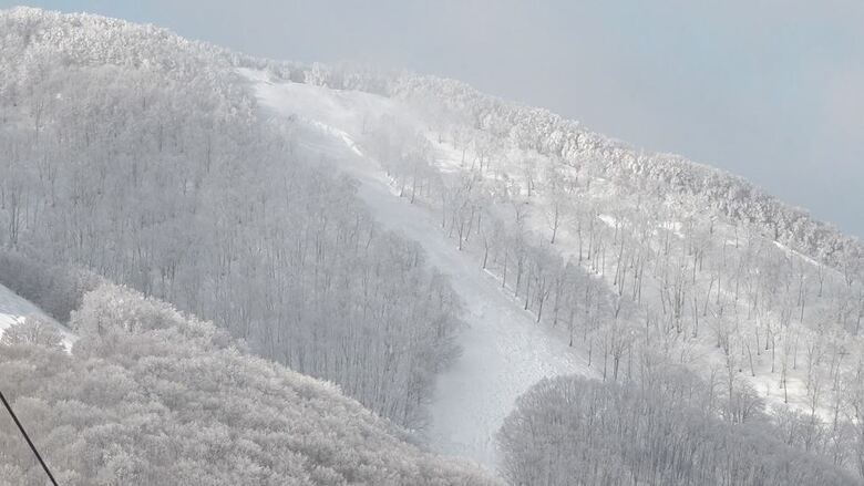 斑尾高原スキー場で起きた雪崩