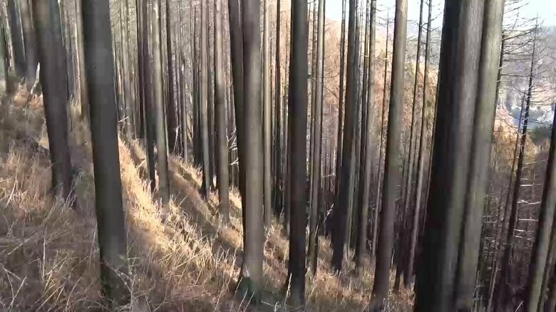 思うように進んでいない復旧作業