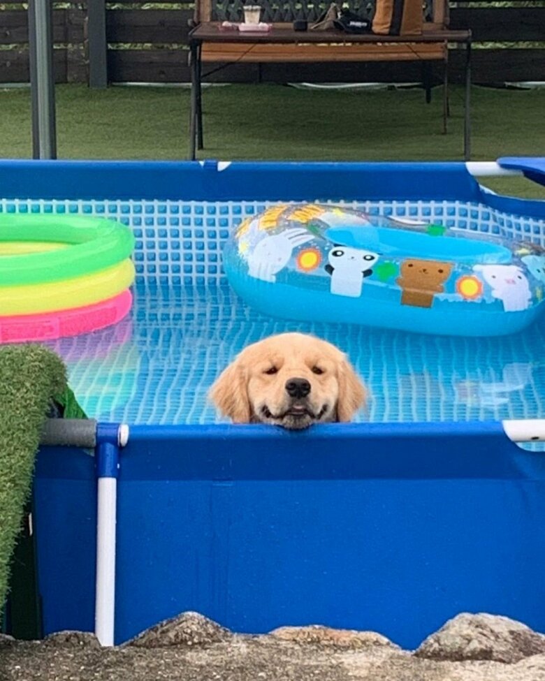 プールをお風呂スタイルで満喫