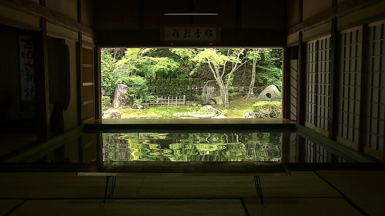 庭園の新緑が床に映し出される