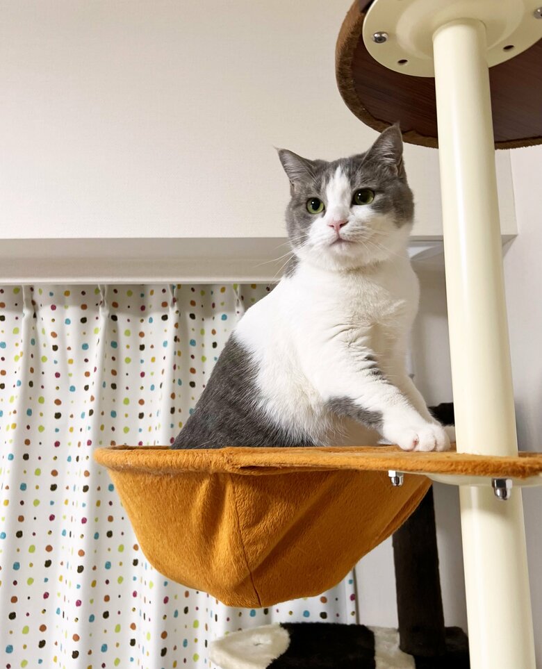 提供：いずもん/まろ様さん