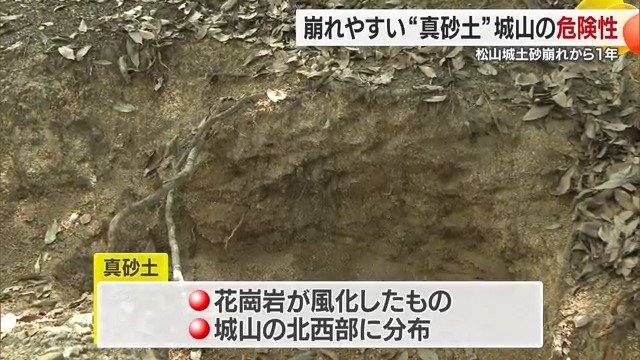 木があるおかげで土が保たれている