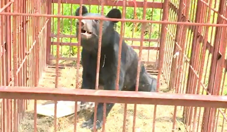 関係者によって迅速で冷静な対処が行われた