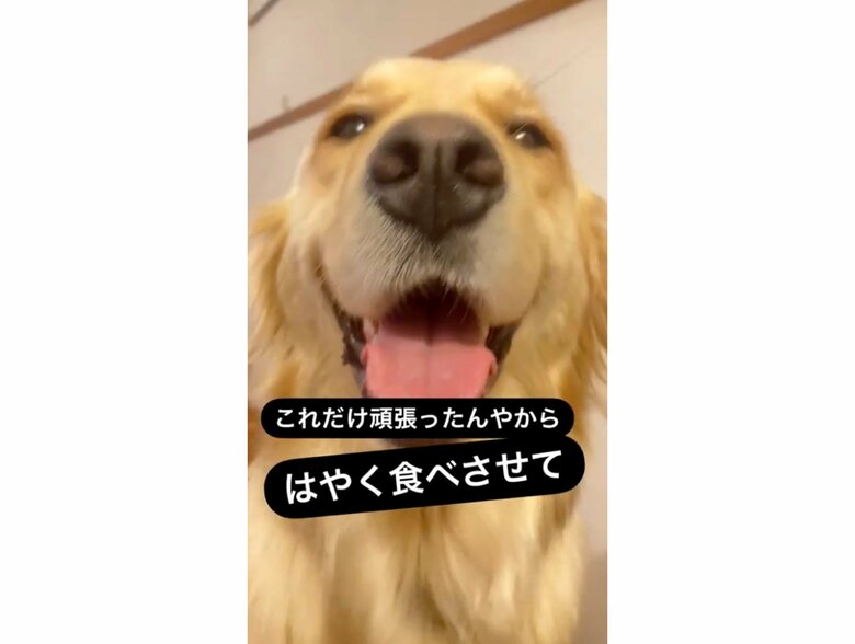 提供：エマさん