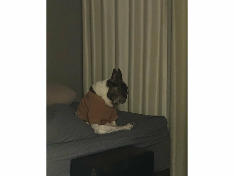 暗闇で反省している丸男くん（提供：丸男さん）