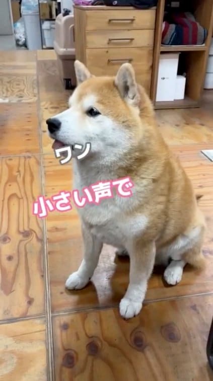 提供：エイトデザイン