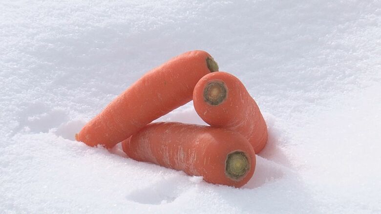 新潟・津南町の特産品「雪下にんじん」