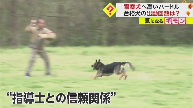 対象物に向かって猛スピードで駆けていく犬の様子