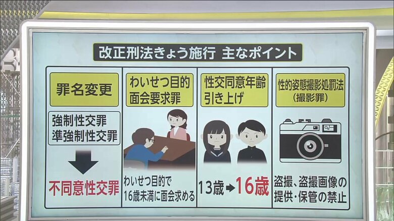 7月13日に施行された改正刑法の主なポイント