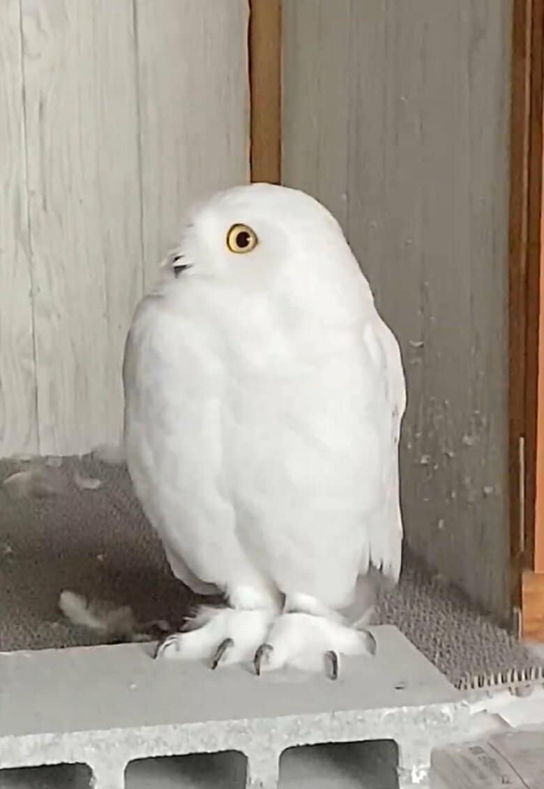 周囲をキョロキョロ