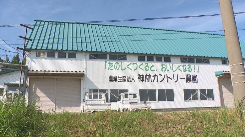 神林カントリー農園