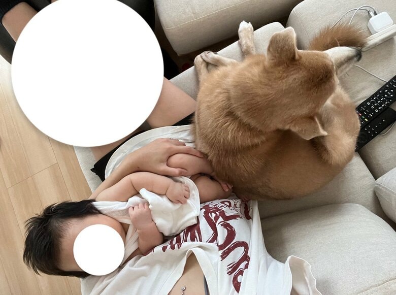 飼い主にピッタリくっついている（提供：あさぎさん）