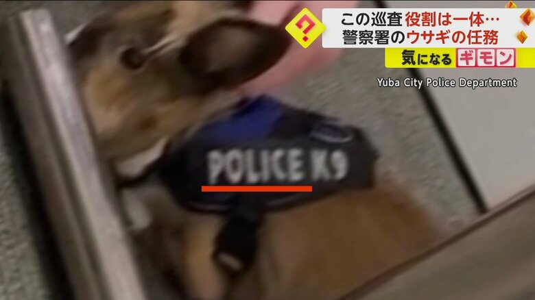 ウサギの服にはPOLICE（ポリス）の文字が入っている