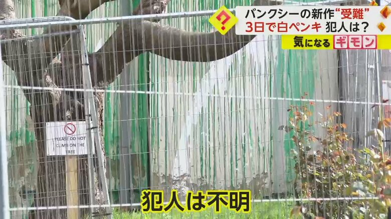 白いペンキがかけられたバンクシーの作品。犯人は不明