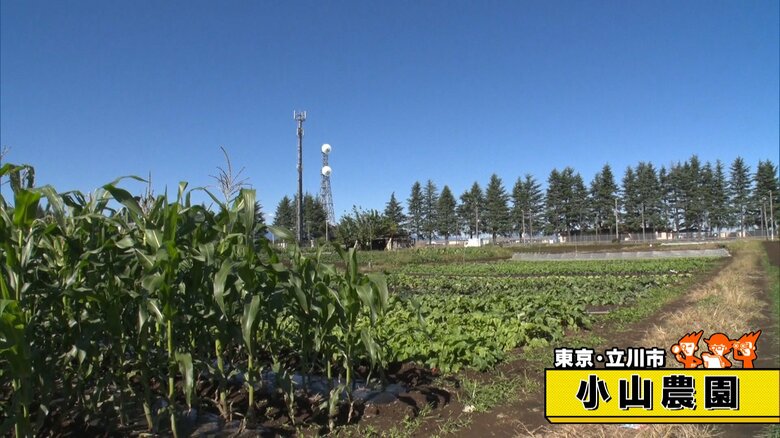 東京・立川市「小山農園」