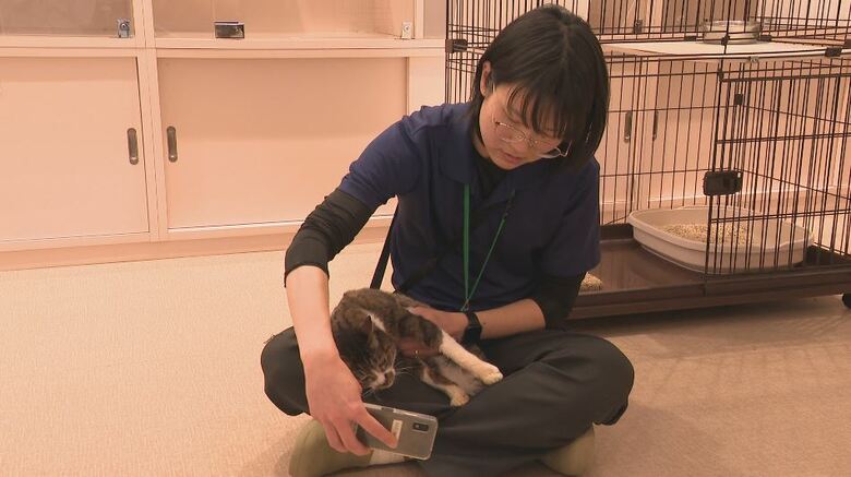 長野市保健所 動物愛護センター・古田菜子さん膝の上に乗る「マツ」