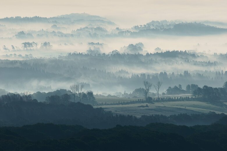 霧の立ち込める蒜山高原　大山隠岐国立公園