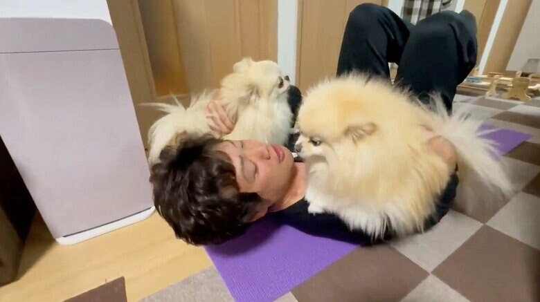 提供：愉快な3姉妹ポメラニアンちゃんねるさん