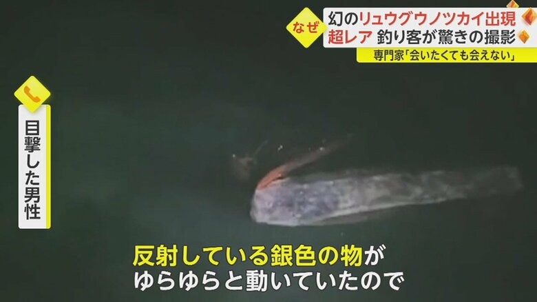 「何かいるなと思ったらリュウグウノツカイだった」