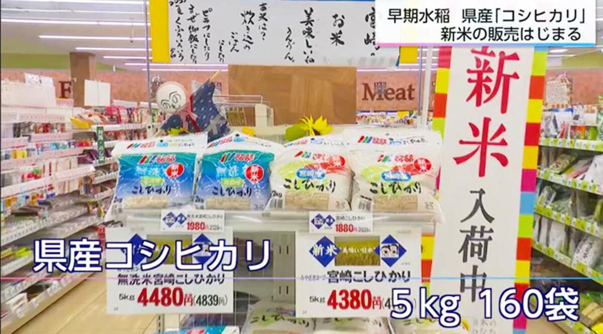 宮崎県産コシヒカリの新米！約5000円の値札にため息…それでも
