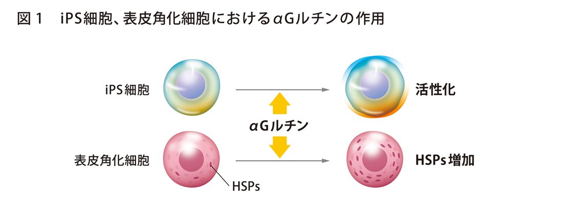 Ns0nm92cpu9bjm