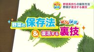 野菜の保存法＆復活させる“裏技”をご紹介！レタス・もやし・大葉―キーアイテムは“爪楊枝”【ラクカジ】