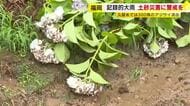 “あじさい寺”で見ごろ迎えた300株が流される　記録的大雨で山の斜面が崩れる　住職「言葉にならない」　福岡