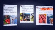 「僕のなりすましに騙されたと苦情が…」本物の農家が“農家なりすまし投稿”に怒り　産地直送装い商品届かない詐欺
