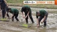 新潟・長岡市の米菓メーカー　“自然栽培米”の田植えでコメへの理解促進「農家の苦労体験できた」