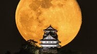 圧倒的インパクトでバズる…「月と岐阜城」撮った“兼業写真家”　奇跡の瞬間追い続け【岐阜発】