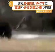 「出てきた！でかい」冬眠明けのクマと一歩も引かぬにらみ合い　北海道で出没相次ぎ高速横切り、列車横を走る姿も
