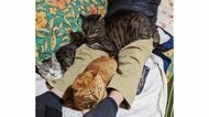 「飼わない！」と怒っていなかった？猫3匹に囲まれる父親の姿が最高…どれだけの溺愛っぷりか聞いた