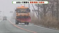 「うれしいような、困ったような」 県内も雪 路面凍結に注意を 静岡