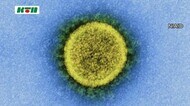 【速報】 新型コロナ新規感染者 長崎県内で8月1日34人