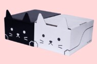 ネコ耳がかわいい! ヤマトが“ネコ型”ダンボール箱を全国販売…こだわりを聞いた
