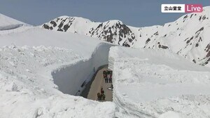 今年は“雪の壁すれすれ通過”も…立山黒部アルペンルート全線開通 50周年で当時の1車線分のみ除雪再現