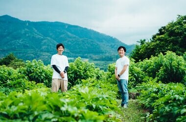 アップサイクル青汁「ボコとデコ」が、耕作放棄地生まれの明日葉を使う理由